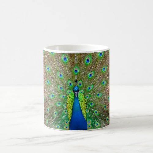 Blue Peacock 3 Mug
