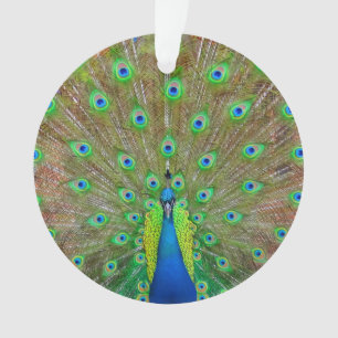 Blue Peacock #3 Ornament