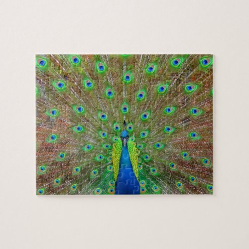 Blue Peacock 3 Puzzle