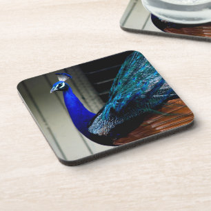 Blue Peacock Beverage Coaster