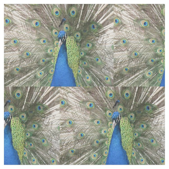 Blue Peacock Fabric (Close Up)