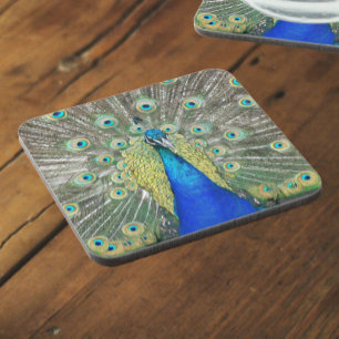 Blue Peacock Feather Plumage Beverage Coaster