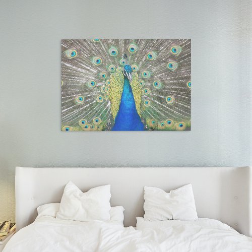 Blue Peacock Feather Plumage Canvas Print