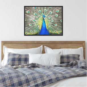 Blue Peacock Feather Plumage Canvas Print
