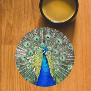 Blue Peacock Feather Plumage Coaster Set