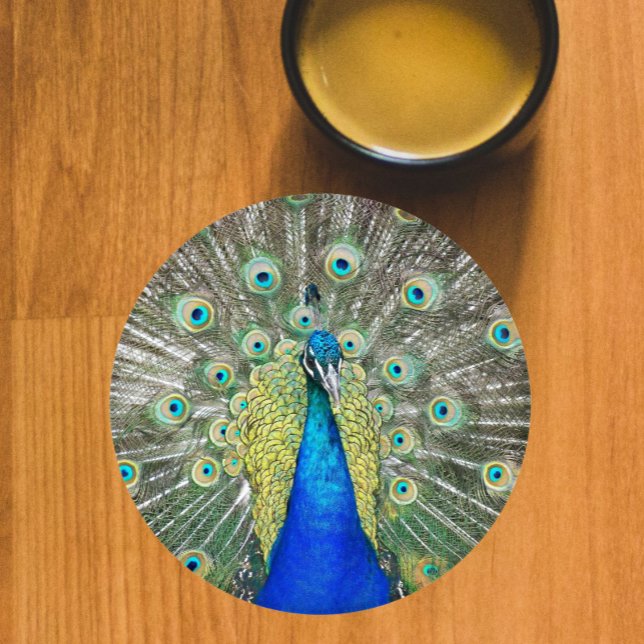 Blue Peacock Feather Plumage Coaster Set (In Situ Mug)