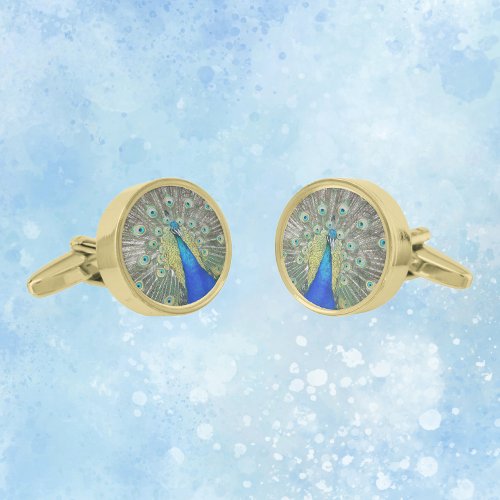 Blue Peacock Feather Plumage Cufflinks