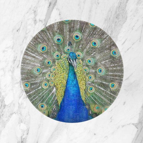Blue Peacock Feather Plumage Cutting Board