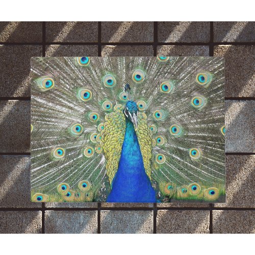 Blue Peacock Feather Plumage Doormat