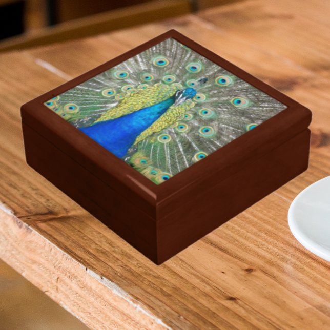 Blue Peacock Feather Plumage Gift Box (In Situ Angled)
