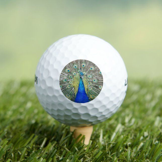 Blue Peacock Feather Plumage Golf Balls (Insitu Tee)