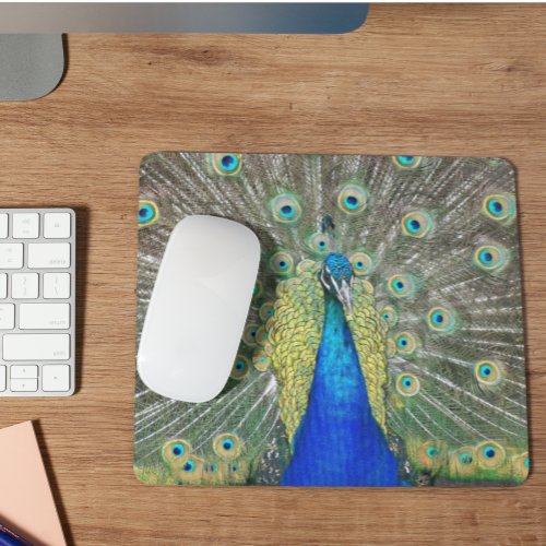 Blue Peacock Feather Plumage Mouse Pad