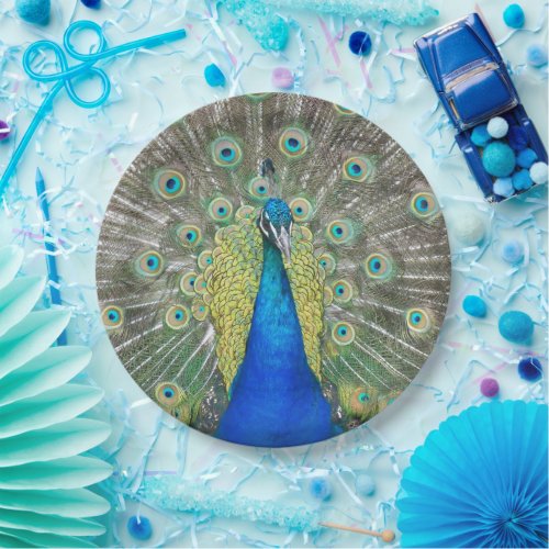 Blue Peacock Feather Plumage Paper Plates