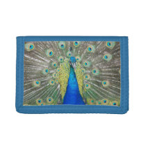 Blue Peacock Feather Plumage Photo Trifold Wallet Blue Peacock Feather Plumage Photo Trifold Wallet