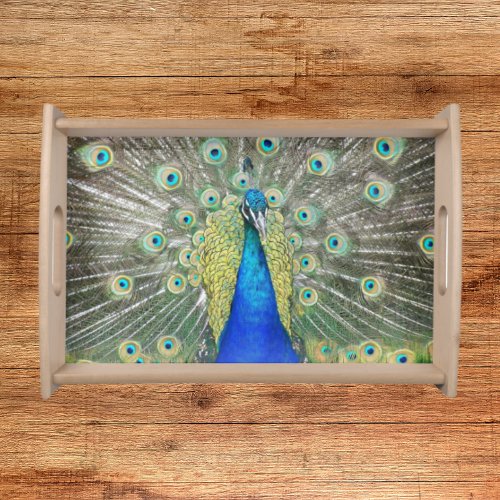 Blue Peacock Feather Plumage Serving Tray