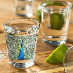 Blue Peacock Feather Plumage Shot Glass