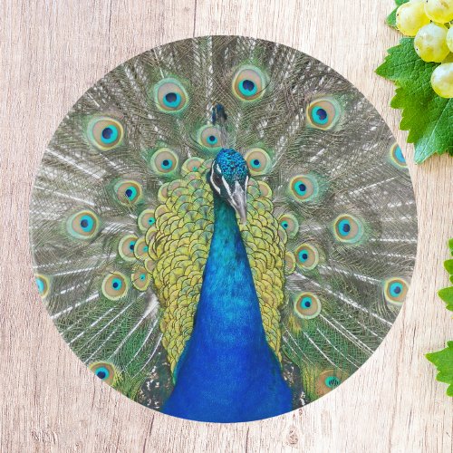 Blue Peacock Feather Plumage Trinket Tray