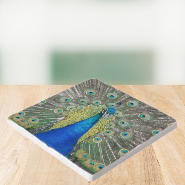 Blue Peacock Feather Plumage Trivet (In Situ Angled)