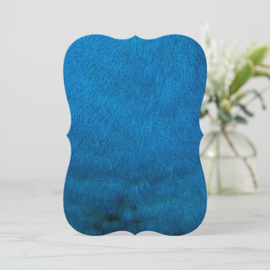 Blue peacock feathers (Standing Front)