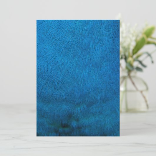 Blue peacock feathers (Standing Front)