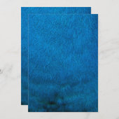 Blue peacock feathers (Front/Back)