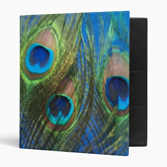 Blue Peacock Feathers 3 Ring Binder (Front/Inside)