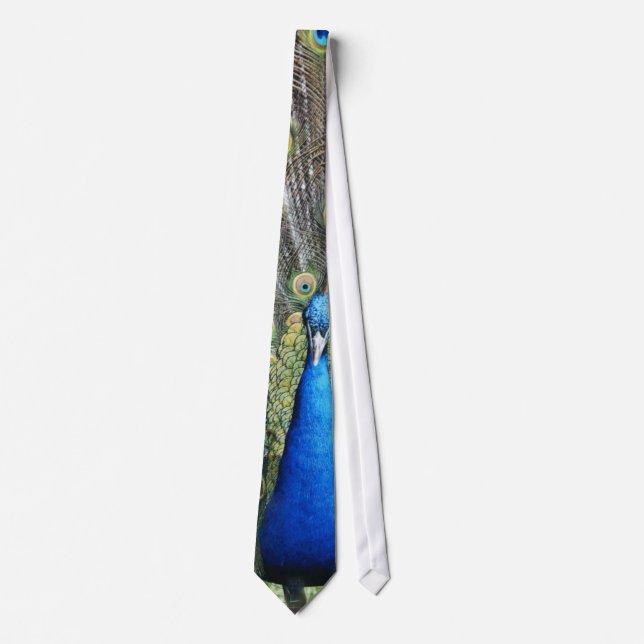Blue Peacock Full Plumage Neck Tie (Front)