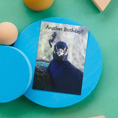 Blue Peacock Funny Nature Birthday Card