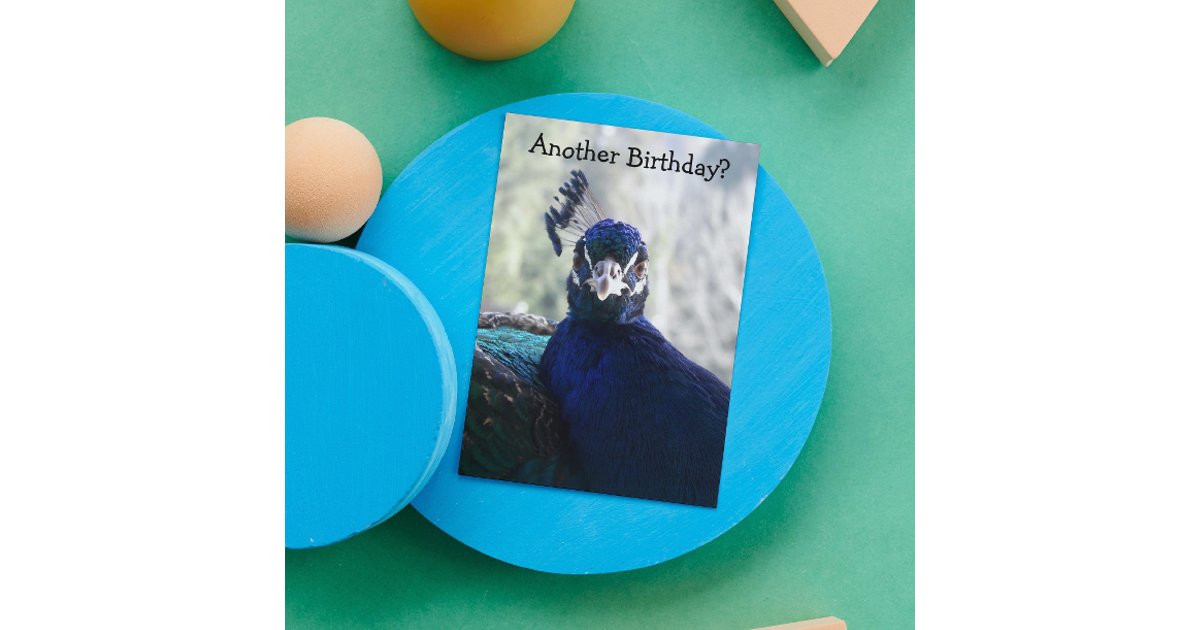 Blue Peacock Funny Nature Birthday Card | Zazzle