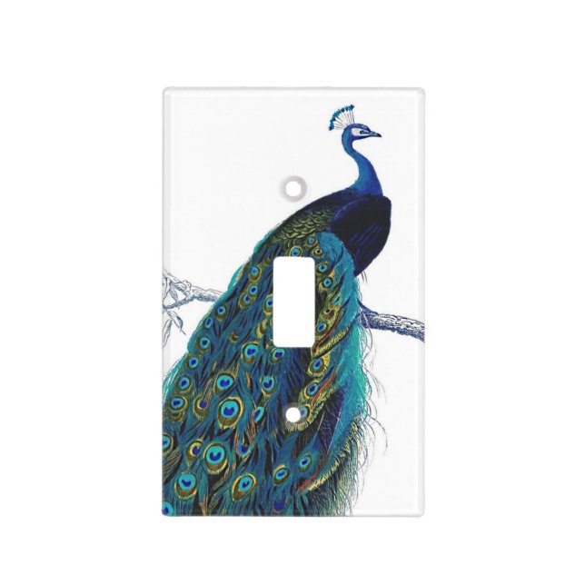 Blue Peacock illustration Light Switch Cover (Front)