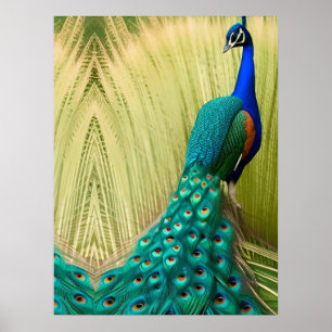 Blue Peacock in grass Poster