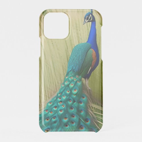 Blue Peacock in grass iPhone 11 Pro Case