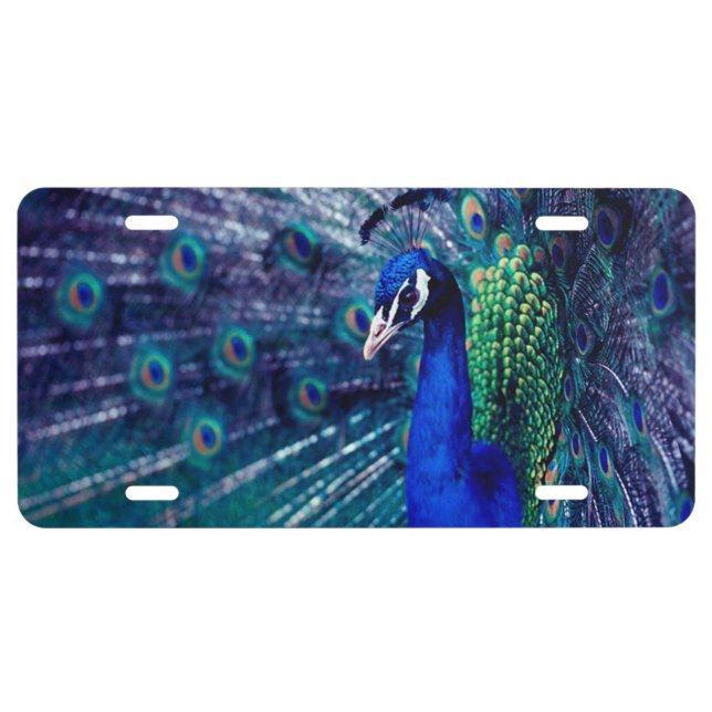 Blue Peacock License Plate (Front)