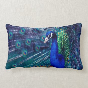 Blue Peacock Lumbar Pillow by ErikaKai at Zazzle