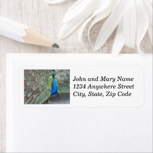 Blue Peacock Plumage Address Label