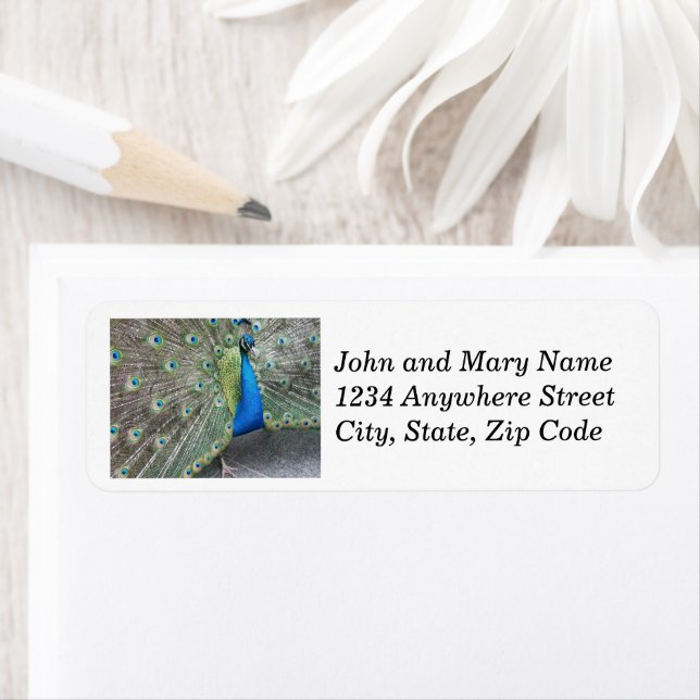 Blue Peacock Plumage Address Label (Insitu)