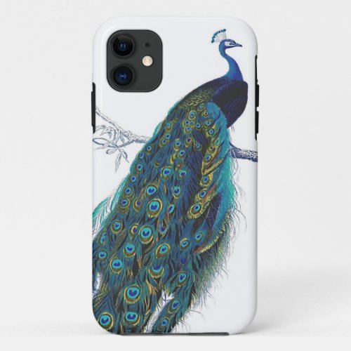 Blue Peacock with beautiful tail feathers iPhone 11 Case