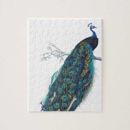 Blue Peacock with beautiful tail feathers Jigsaw Puzzle