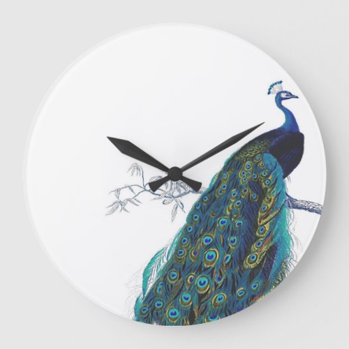 Blue Peacock with beautiful tail feathers Large Clock