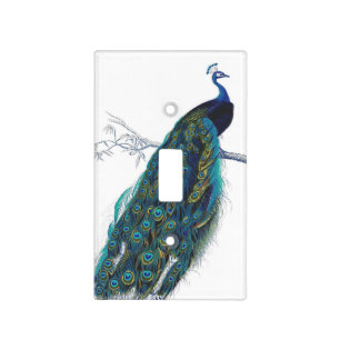 Blue Peacock with beautiful tail feathers Light Switch Cover