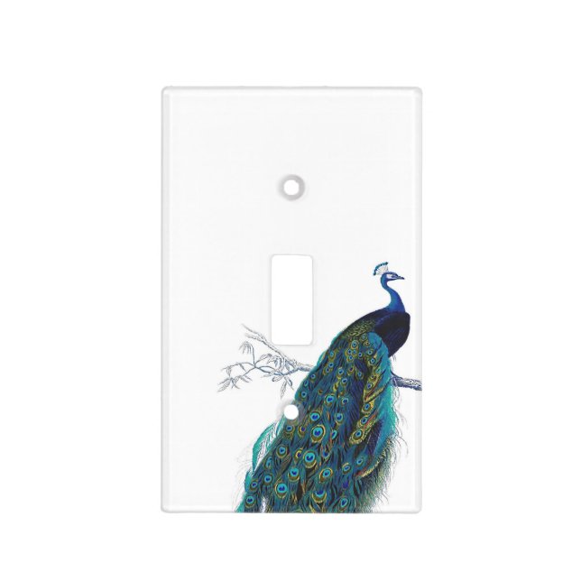 Blue Peacock with beautiful tail feathers Light Switch Cover (Front)