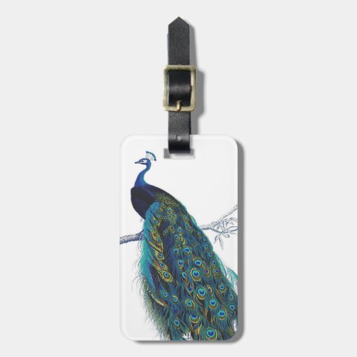 Blue Peacock with beautiful tail feathers Luggage Tag