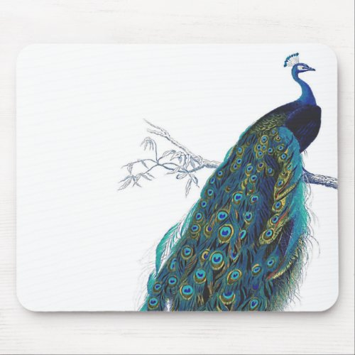 Blue Peacock with beautiful tail feathers Mouse Pad