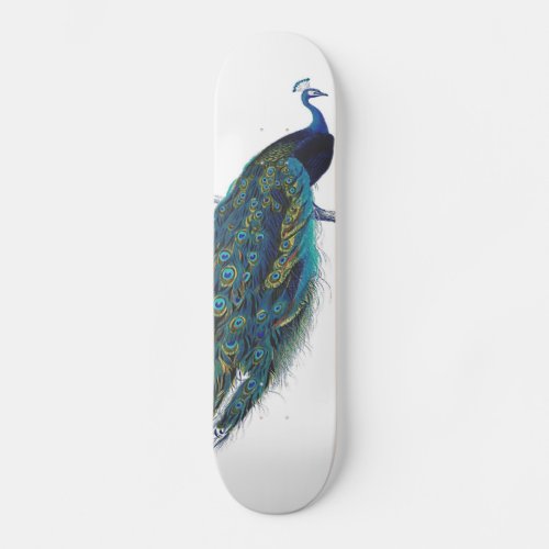 Blue Peacock with beautiful tail feathers Skateboard Deck