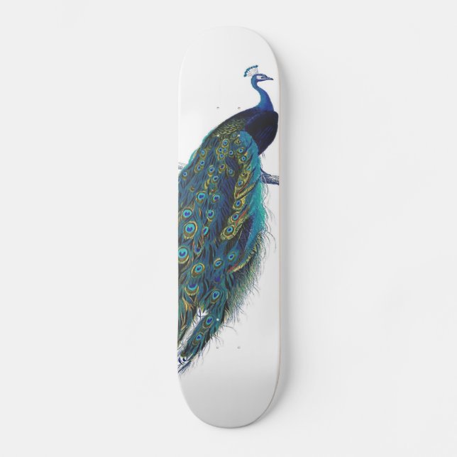 Blue Peacock with beautiful tail feathers Skateboard Deck (Front)