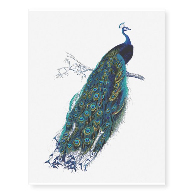 Blue Peacock with beautiful tail feathers Temporary Tattoos (Front)