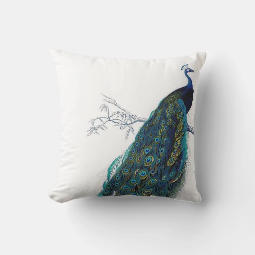Blue Peacock with beautiful tail feathers Throw Pillow