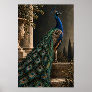 Blue Peacock with Iridescent Tail in Classical Gar Poster