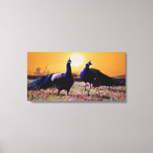 Blue peacocks canvas print