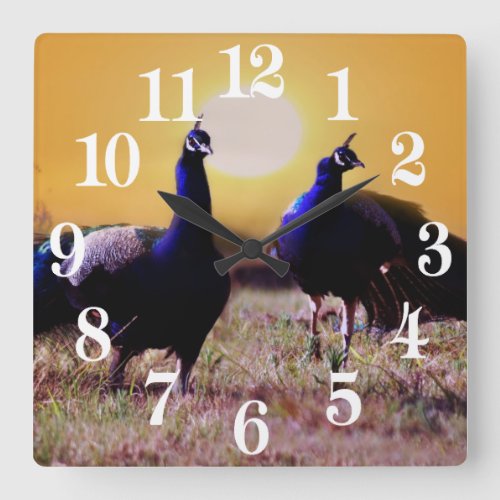 Blue peacocks square wall clock